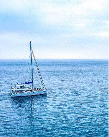 濟(jì)源市尚恩環(huán)?？萍加邢薰救?xì)庹羝仩t設(shè)備采購(gòu)項(xiàng)目變更公告